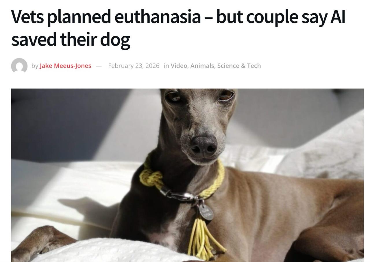 News article about Lia being saved by AI